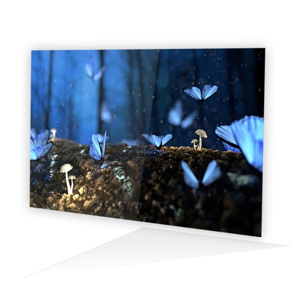 IPS Panel ~ generic