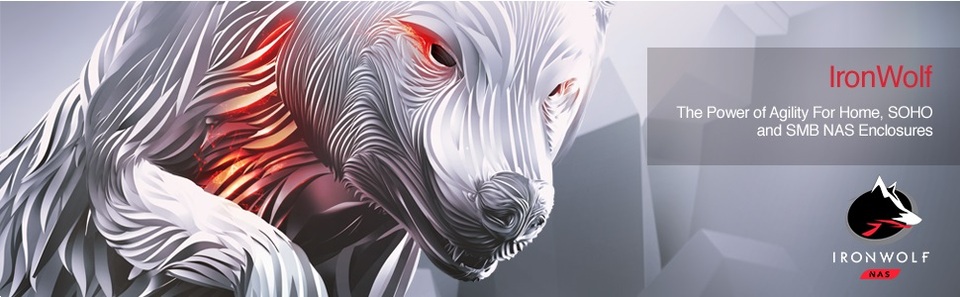 Seagate IronWolf