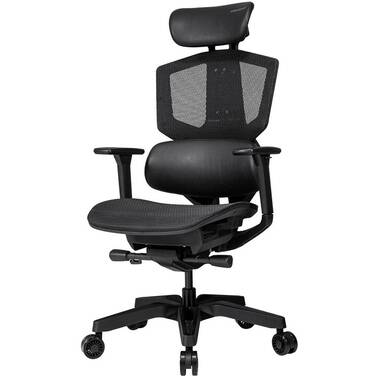 Cougar Argo One Ergonomic Gaming Chair With Lumbar Support Black