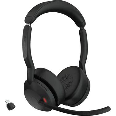 Headphones & Headsets