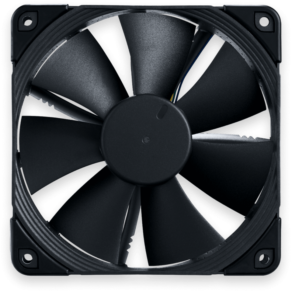 fan